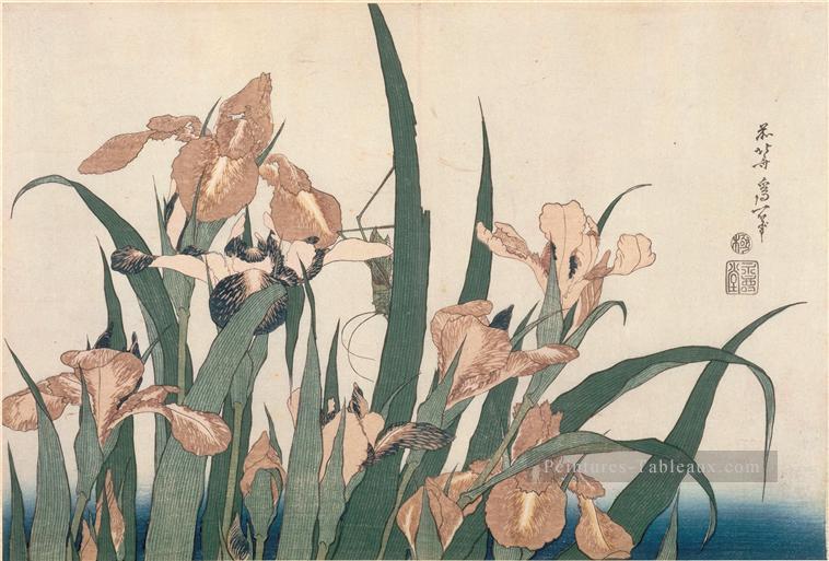 Iris et sauterelle Katsushika Hokusai japonais Peintures à l'huile